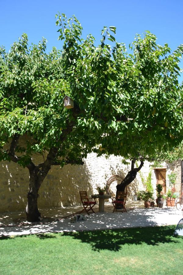 Holidays In Lagrasse Exterior photo