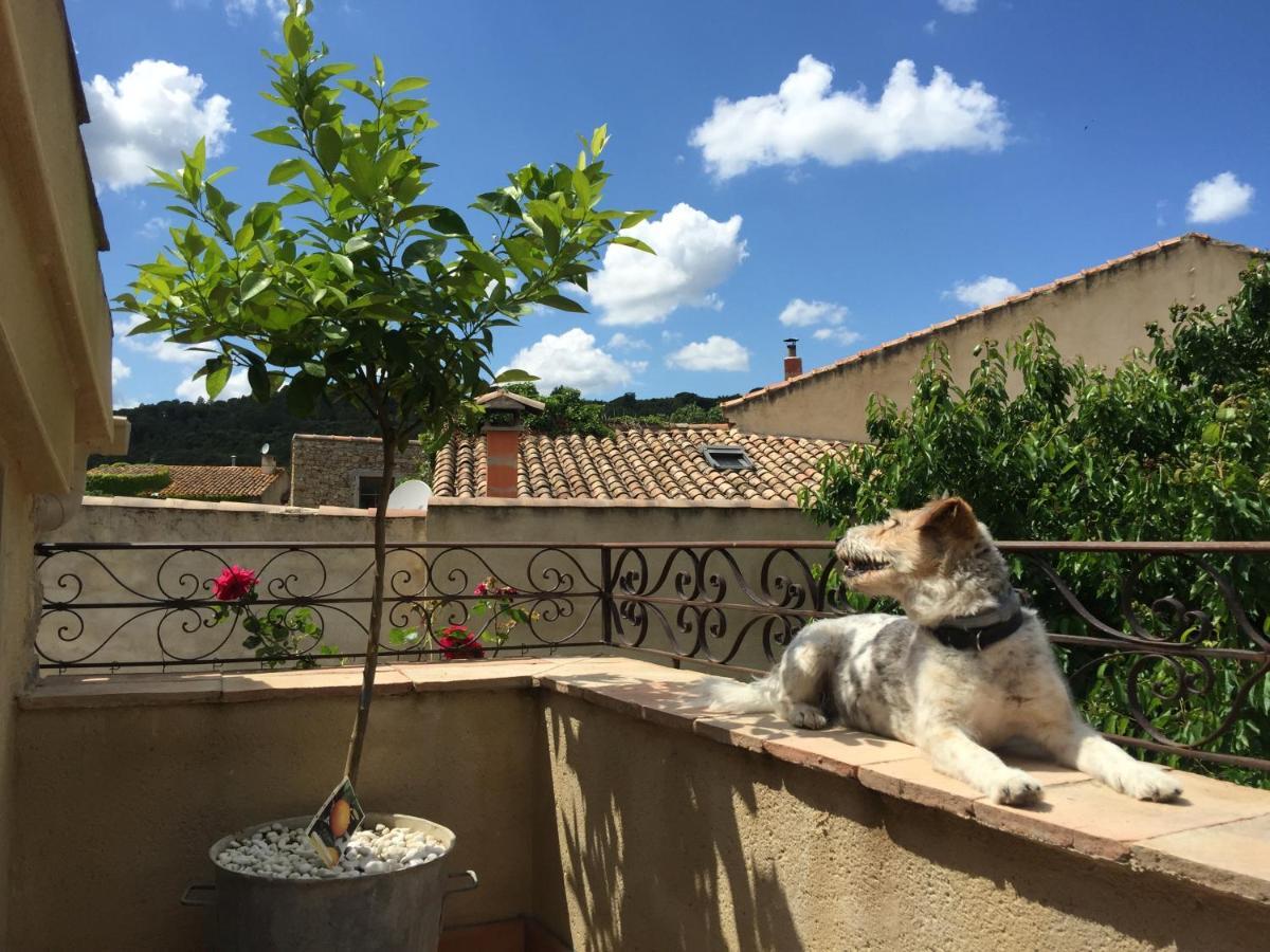 Holidays In Lagrasse Exterior photo